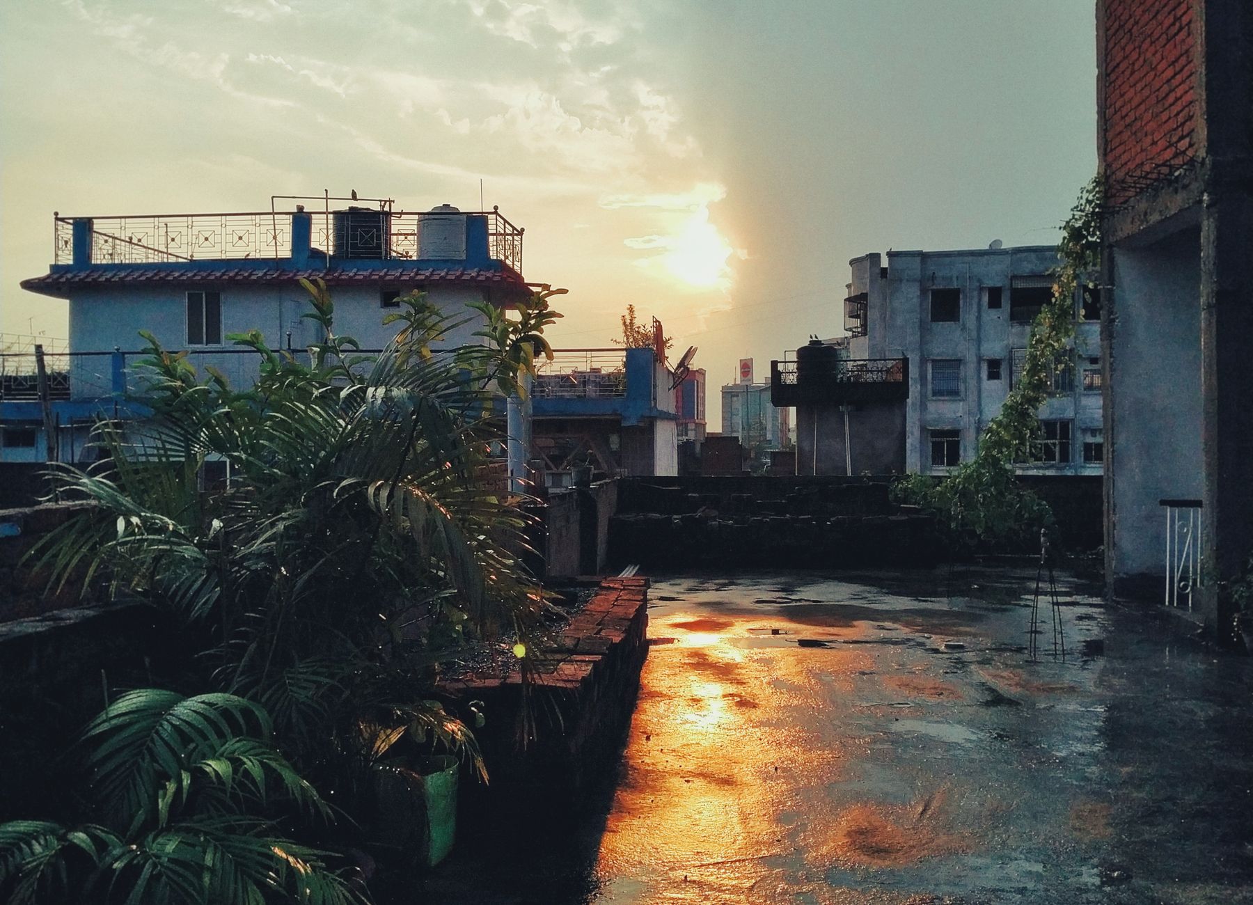 Rooftop balcony floor with ponding water beside a planter