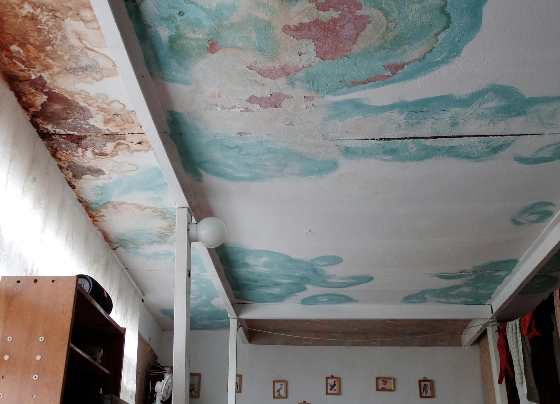 Water-stained ceiling with spreading brown stains and peeling paint