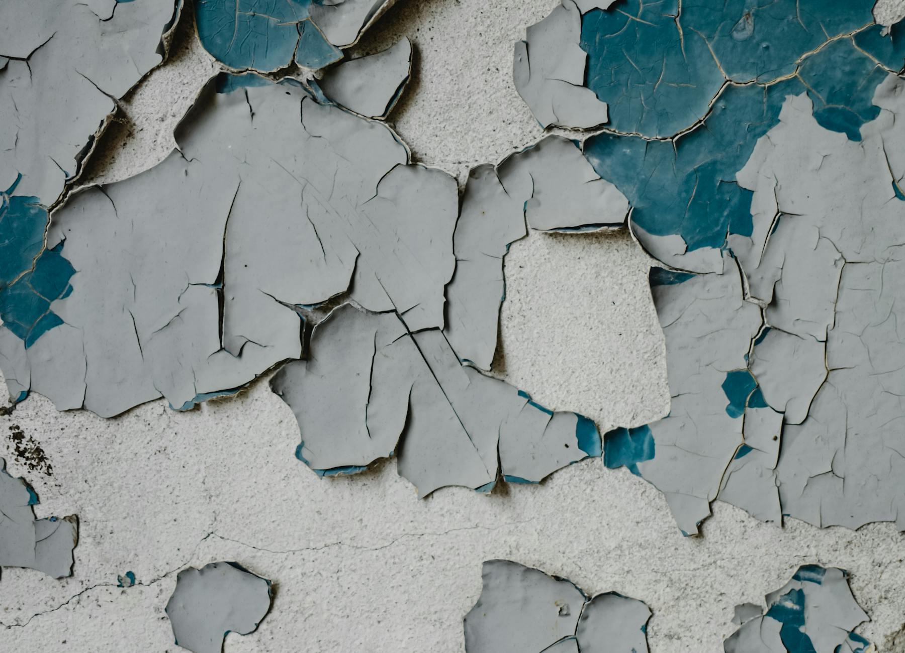 Interior wall with bubbling, cracked and peeling paint from damp